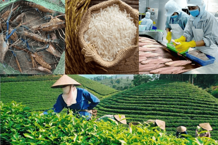  Nông nghiệp Việt Nam bứt phá: Thiết lập kỷ lục mới, mở rộng thị trường toàn cầu