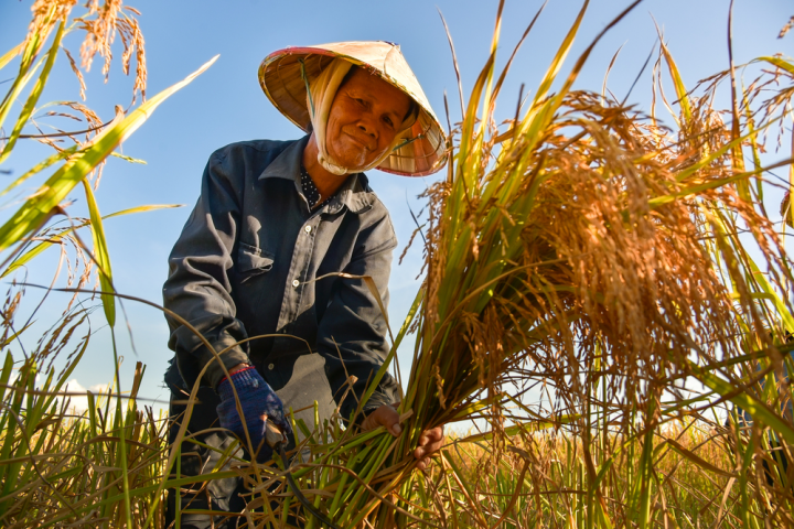 Công ty nông nghiệp Hoa Kỳ hướng đến mở rộng công nghệ cao tại Việt Nam