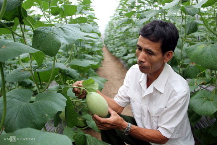 Việt Nam đứng thứ hai khu vực về triển vọng phục hồi nông nghiệp thực phẩm
