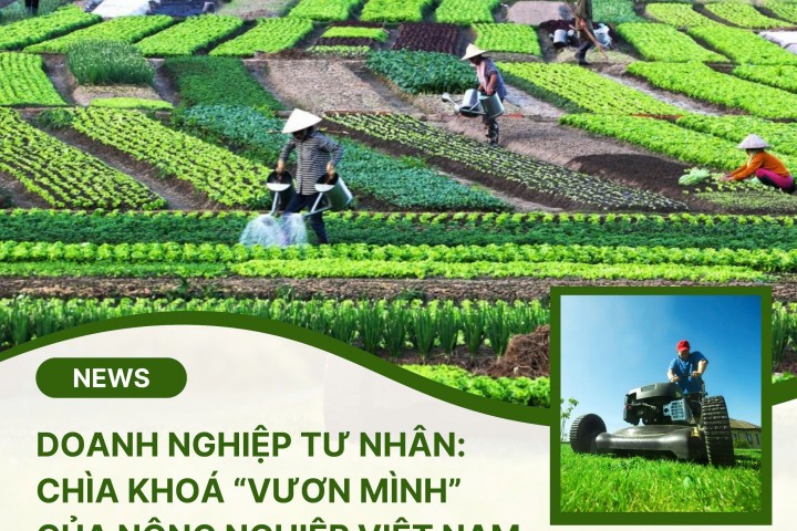 Doanh Nghiệp Tư Nhân: Chìa Khoá “Vươn Mình” Của Nông Nghiệp Việt Nam