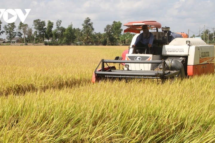 Nông dân Việt nam ứng phó với "bão" giá, phân bón tăng hơn 20%