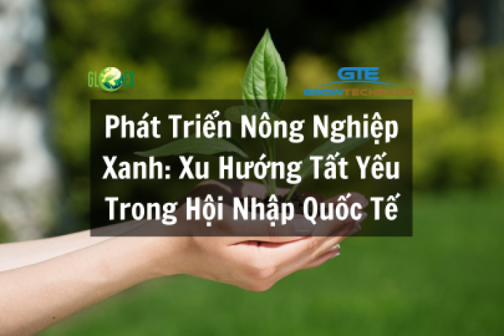 Phát Triển Nông Nghiệp Xanh: Xu Hướng Tất Yếu Trong Hội Nhập Quốc Tế