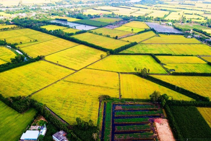 Promoting sustainable agricultural development in the Mekong Delta to 2030, with a vision to 2045