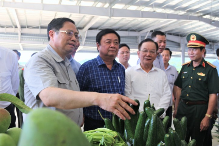 Năm 2022 Việt nam xuất khẩu nông sản phấn đấu đạt 55 tỷ USD