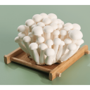 White jade mushroom